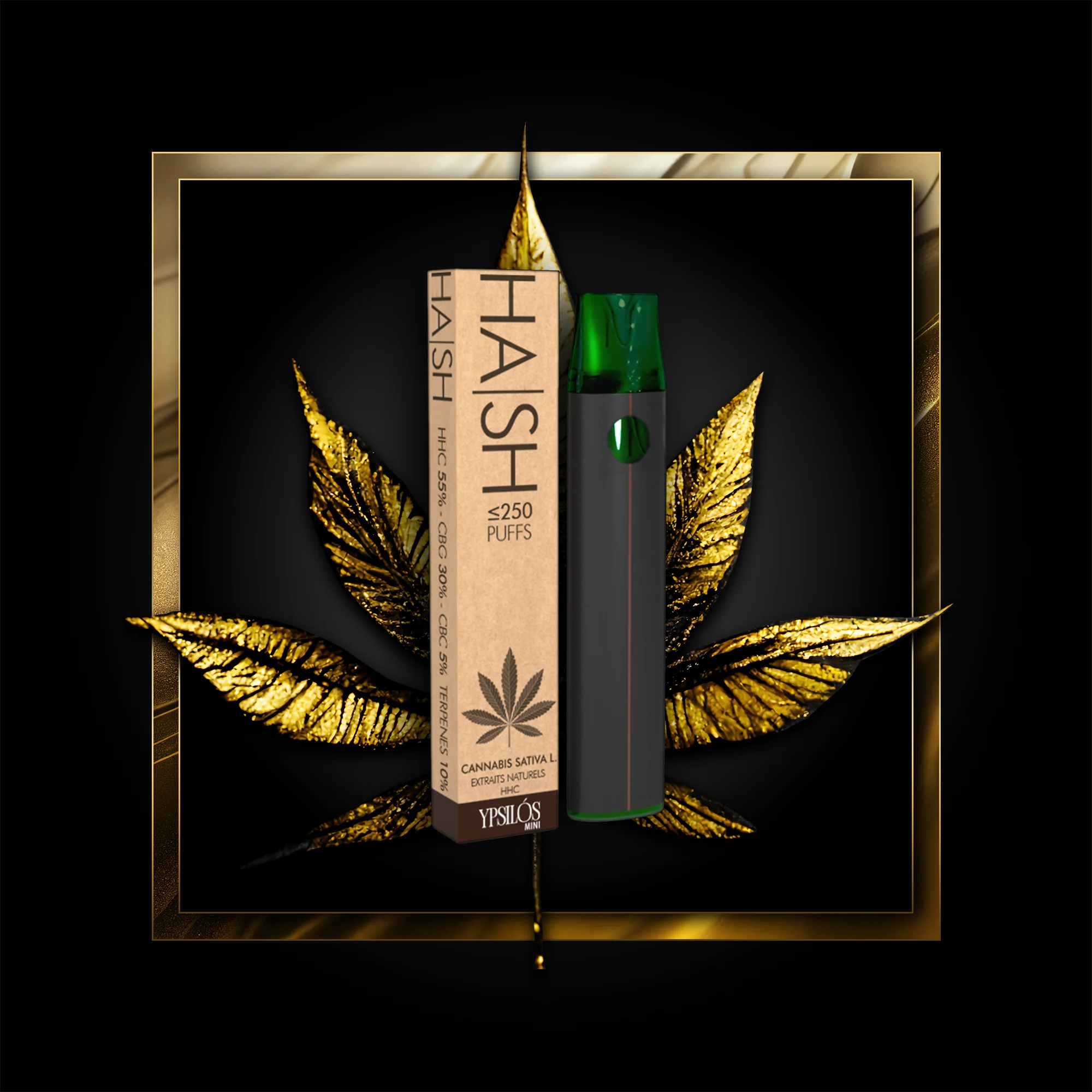 Hash (еднократни) 250 дръпки -  0,50 мл. HHC
